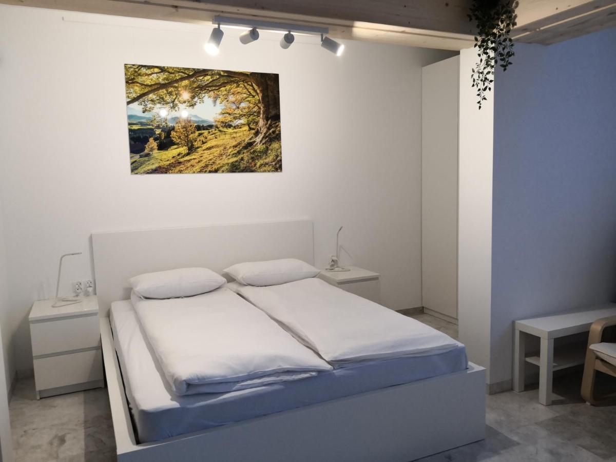 Willa Nika, Apartamenty Zakopane Ngoại thất bức ảnh